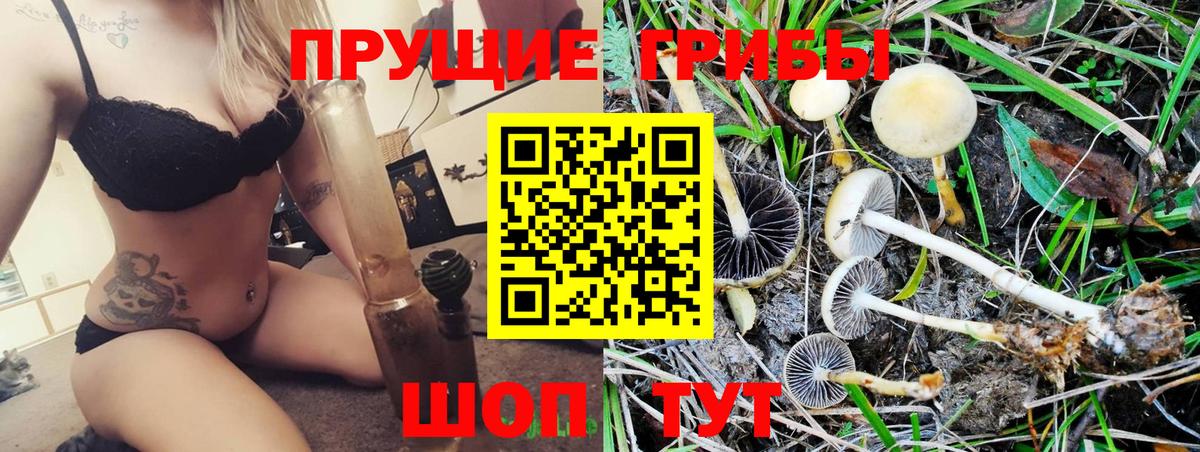 Нижний Тагил  Галлюциногенные грибы Psilocybe  Вход с VPN  Псилоцибиновые грибы Cubensis 